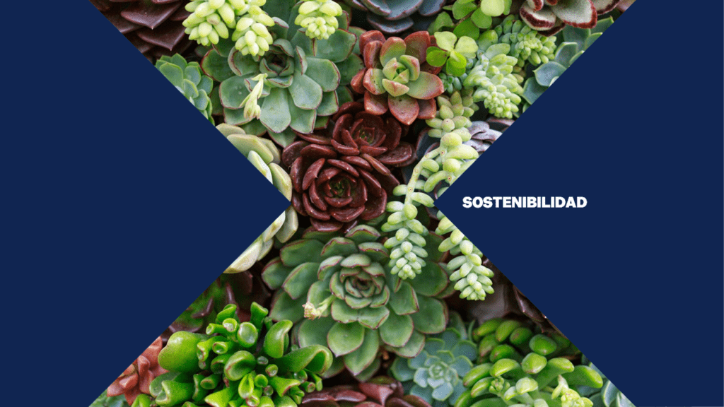 quotta-ai-curso-sellos-sostenibilidad